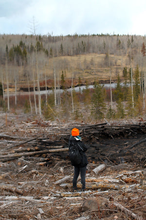 Rebuilding Forests, Strengthening Communities: Our Journey to Burns Lake & Smithers